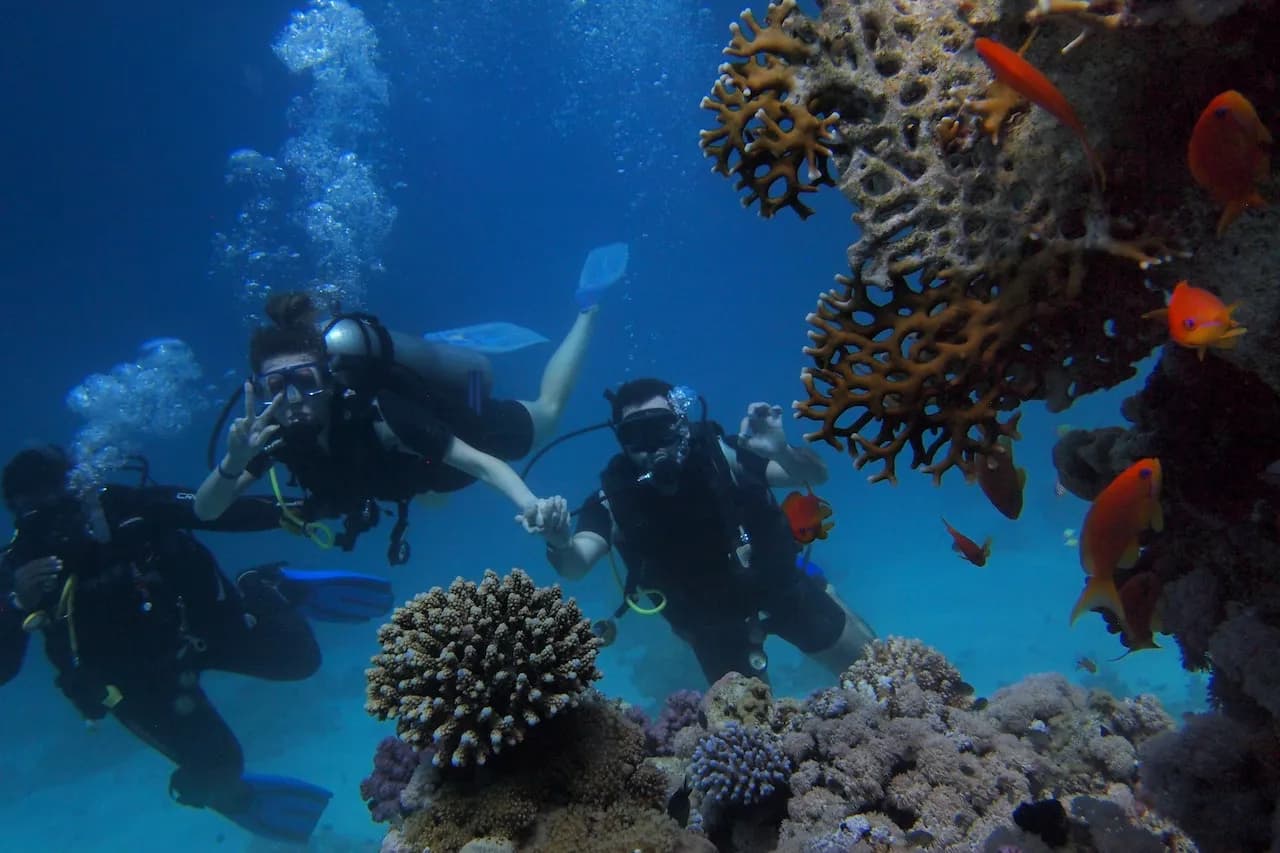 Scuba Diving Tour for Groups