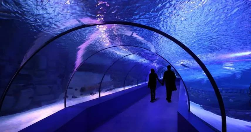 Antalya Aquarium Tour (from Side) 2