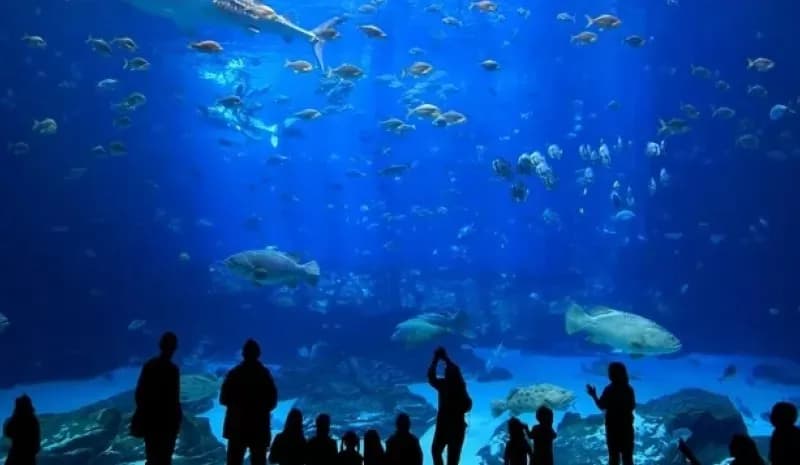 Antalya Aquarium Tour 3