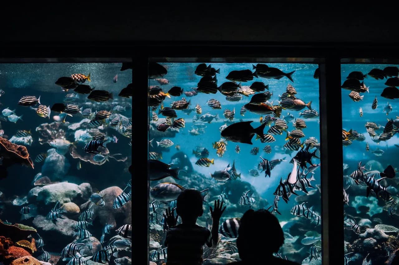 Antalya Aquarium Tour for Groups