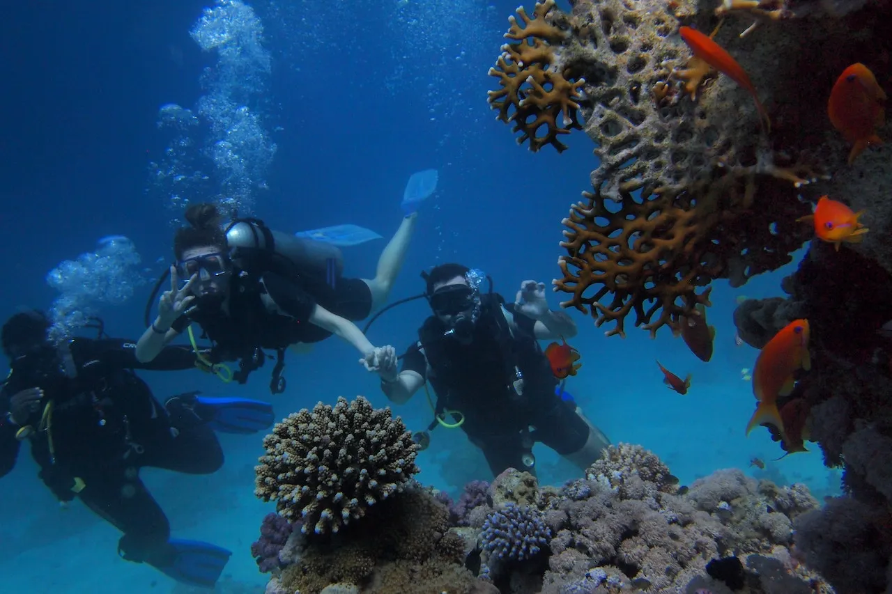 Scuba Diving Tour: from Side vs from Kundu