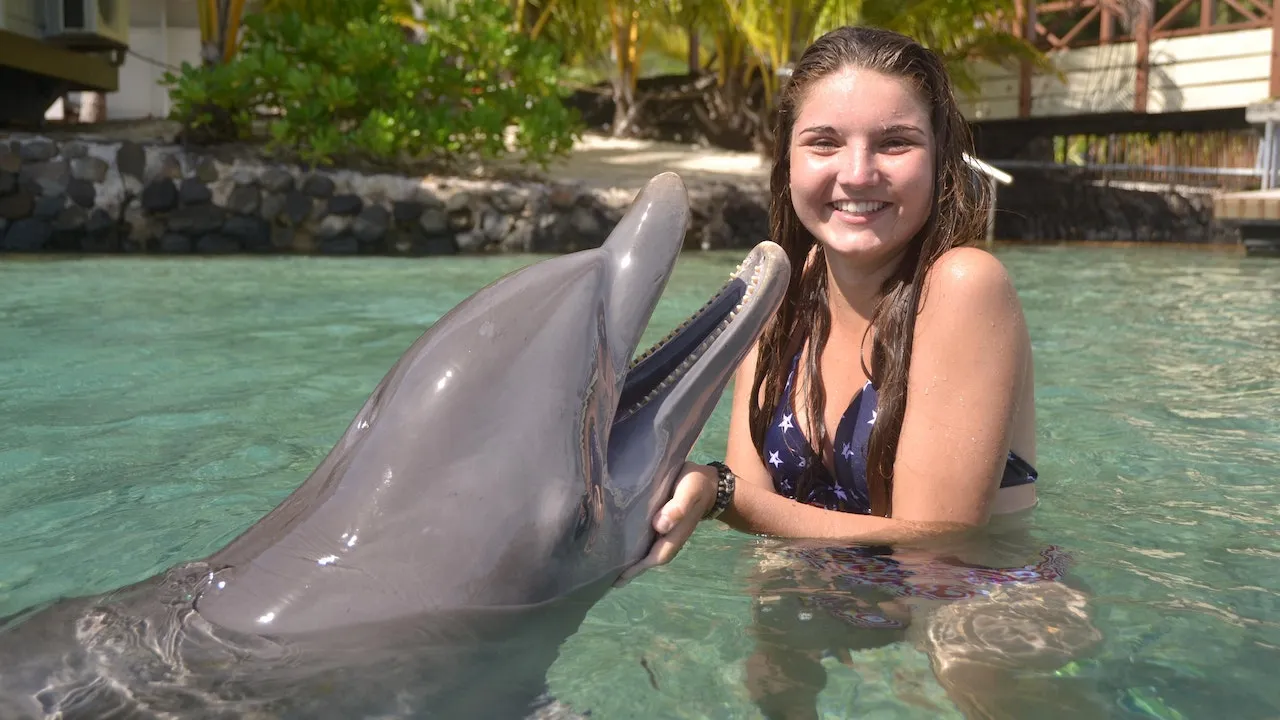 Swim with Dolphins & Dolphin Show Combo: from Side vs from Kundu